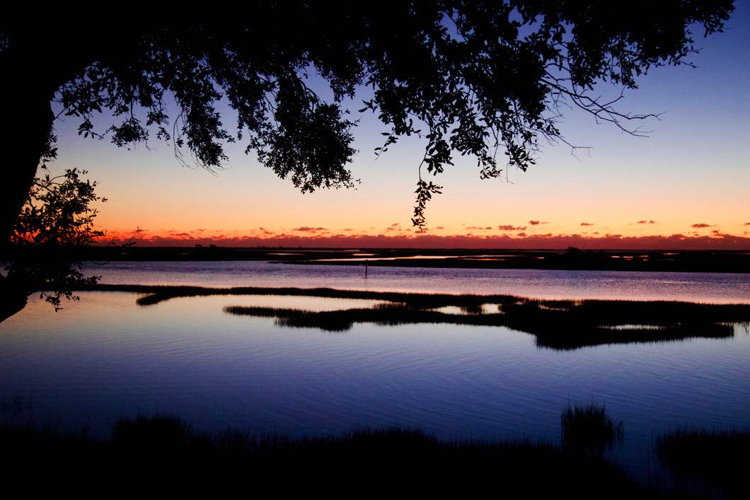 The Carolina Coast